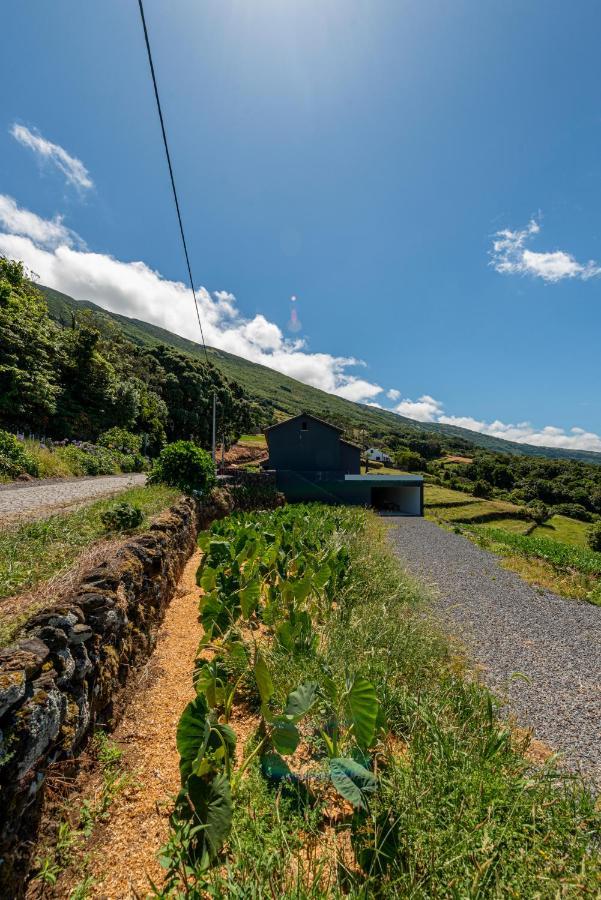 Rosa Cha Villa Santo Amaro  Buitenkant foto